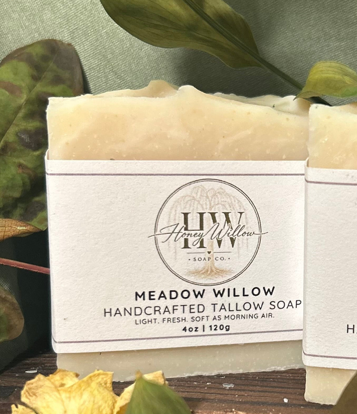 Meadow Willow